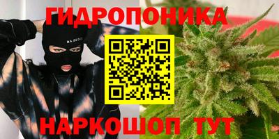 эйфоретик Обь