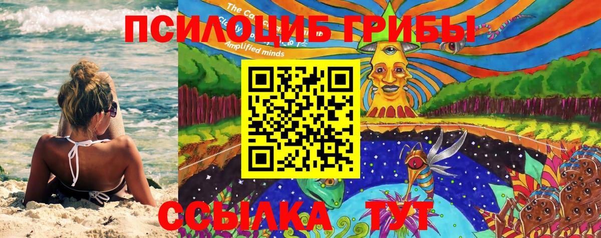 Псилоцибиновые грибы Cubensis  Вход с VPN  Томск 