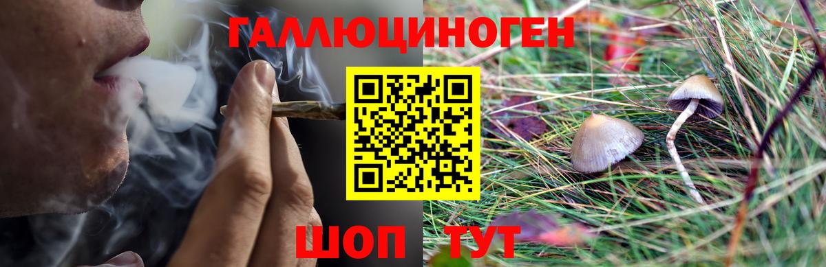 Псилоцибиновые грибы мицелий Томск